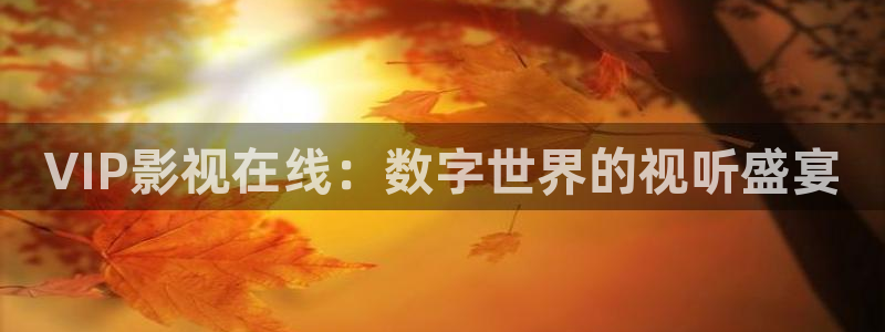 好看影院在線觀看電影：VIP影視在線：數字世界的視聽盛宴