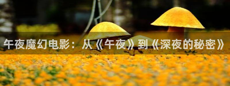 好看影院：午夜魔幻電影：從《午夜》到《深夜的秘密》