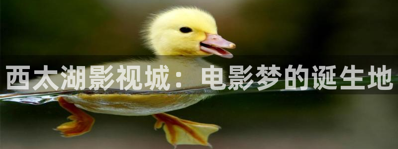 好看影院：西太湖影視城：電影夢的誕生地